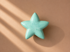 Aqua Star Mini Urn