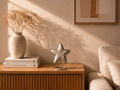 Silver Star Mini Urn