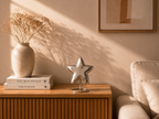 Silver Star Mini Urn