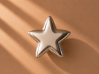 Silver Star Mini Urn
