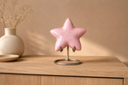 Gedenkwaardig Blush Star mini urn