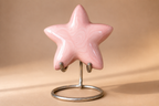 Gedenkwaardig Blush Star mini urn