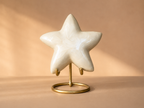 Gedenkwaardig Ivory Star mini urn