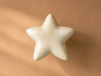 Gedenkwaardig Ivory Star mini urn