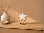 Gedenkwaardig Ivory Star mini urn