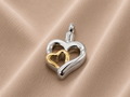 Gedenkwaardig Hart zilver goud | Gedenkwaardig Heart silver gold