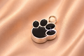 Paw Print Ash Pendant Black Silver