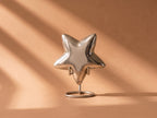 Silver Star Mini Urn